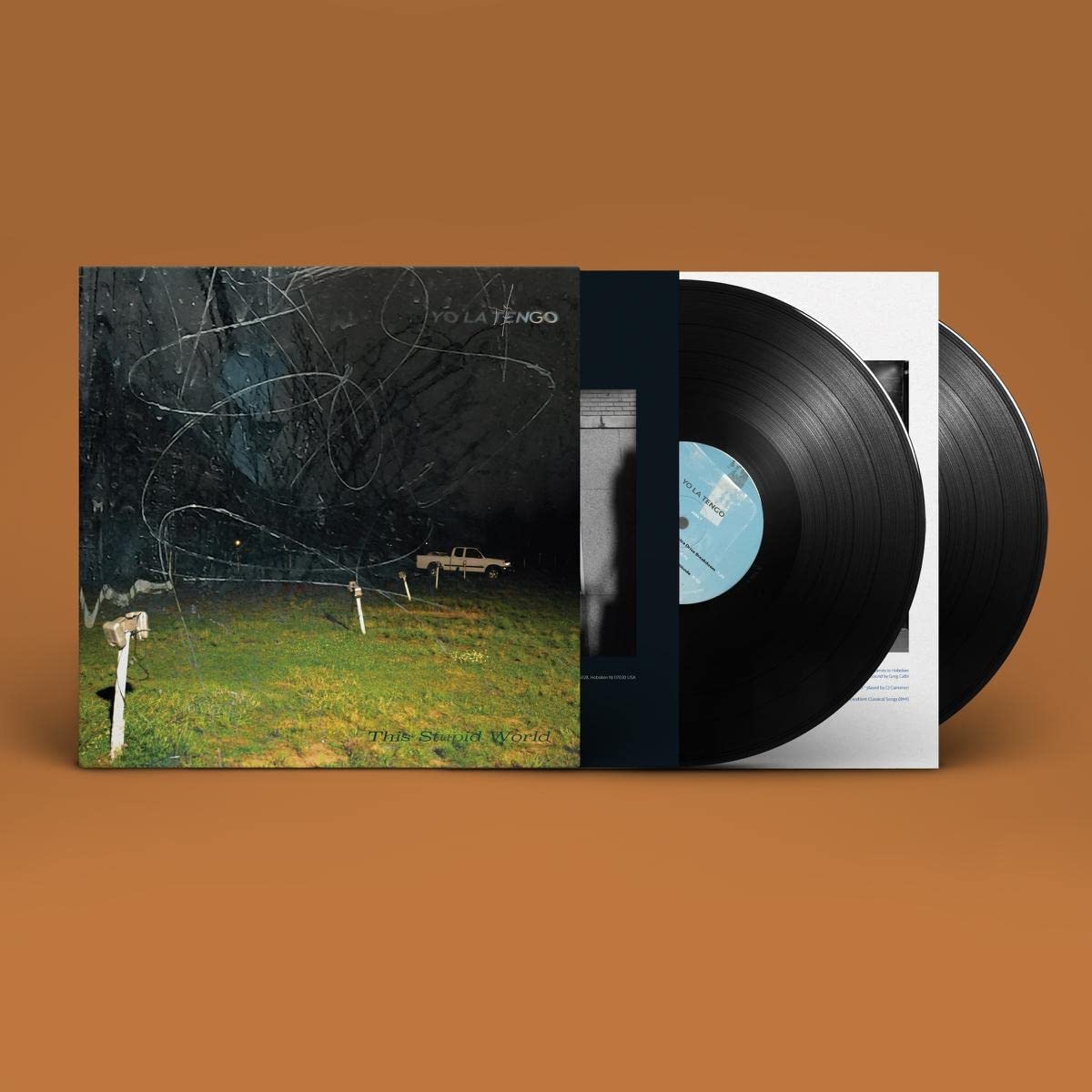 Yo La Tengo This Stupid World