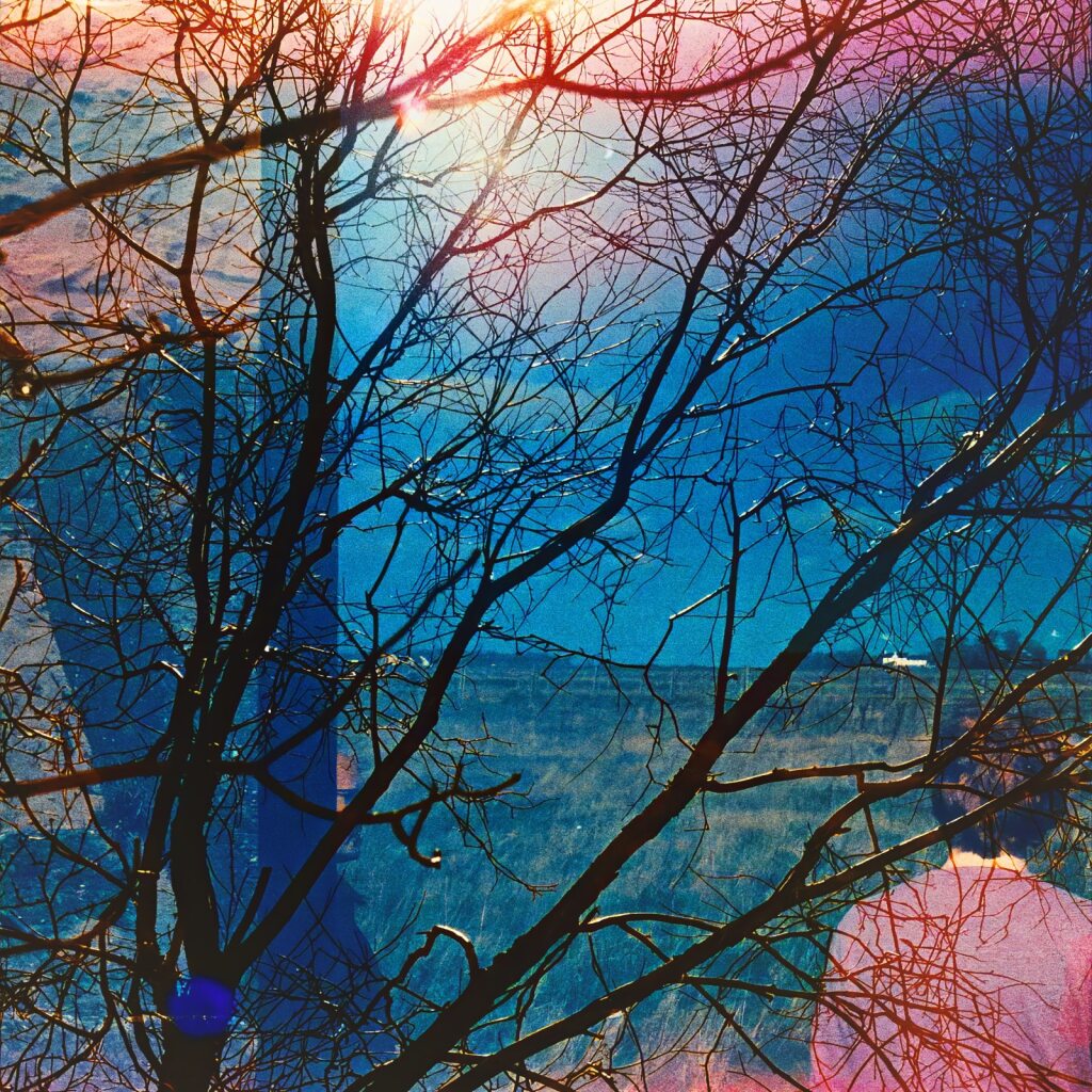 Idlewild Idlewild (Blue LP)