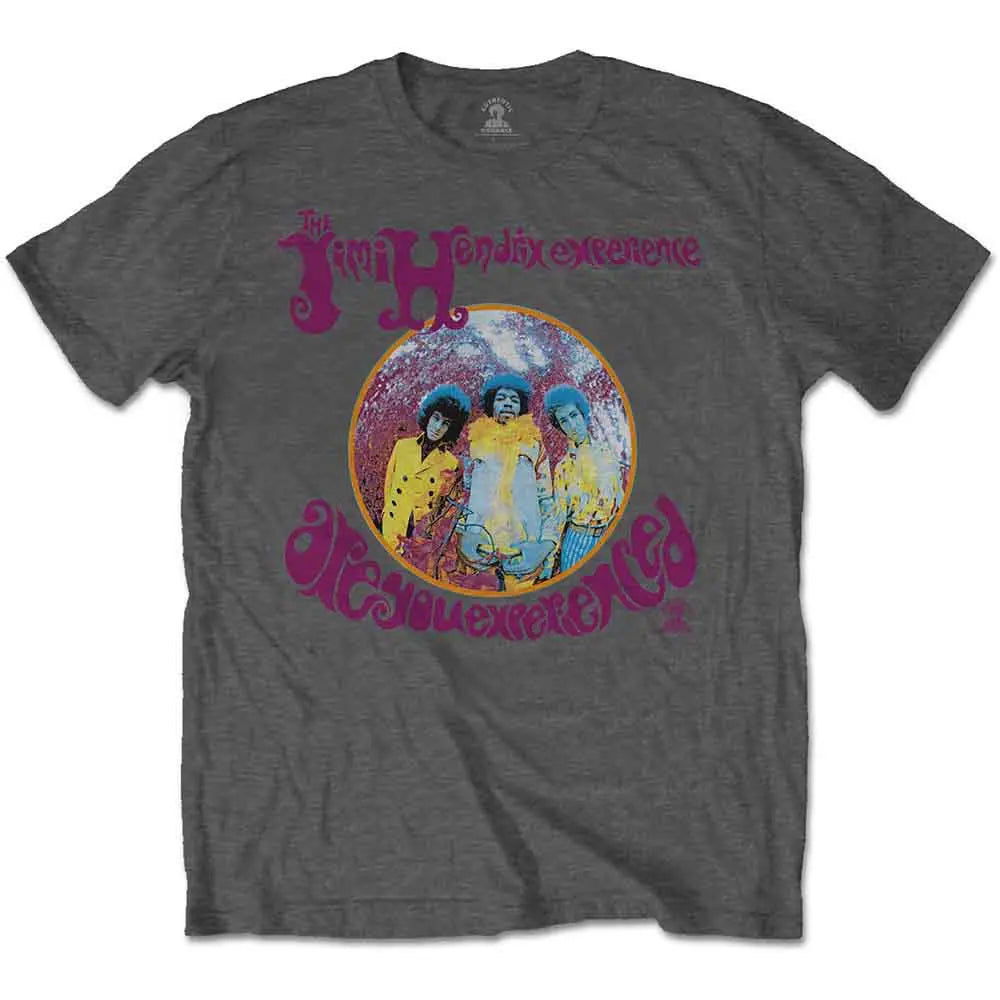 Jimi Hendrix Grey T-Shirt Are You Experienced? Shirts