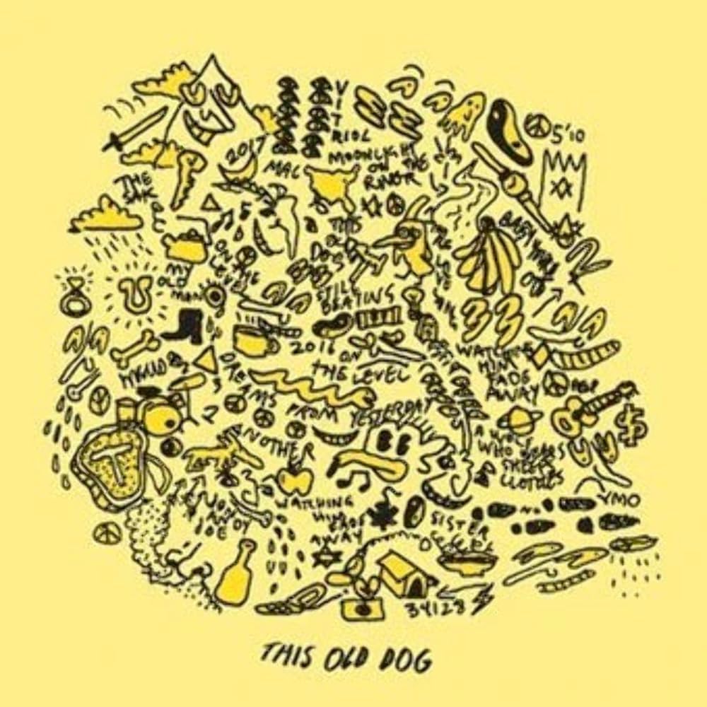 Mac DeMarco This Old Dog
