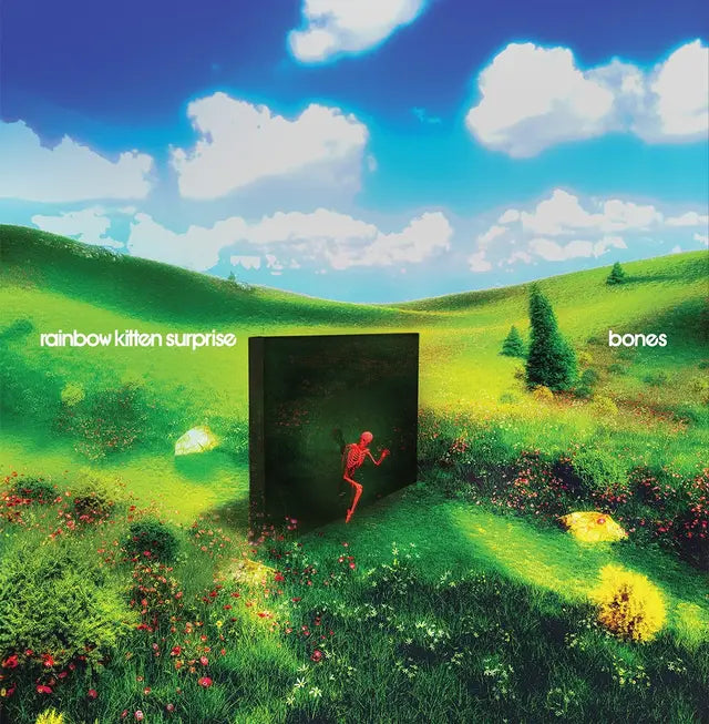 Rainbow Kitten Surprise Bones