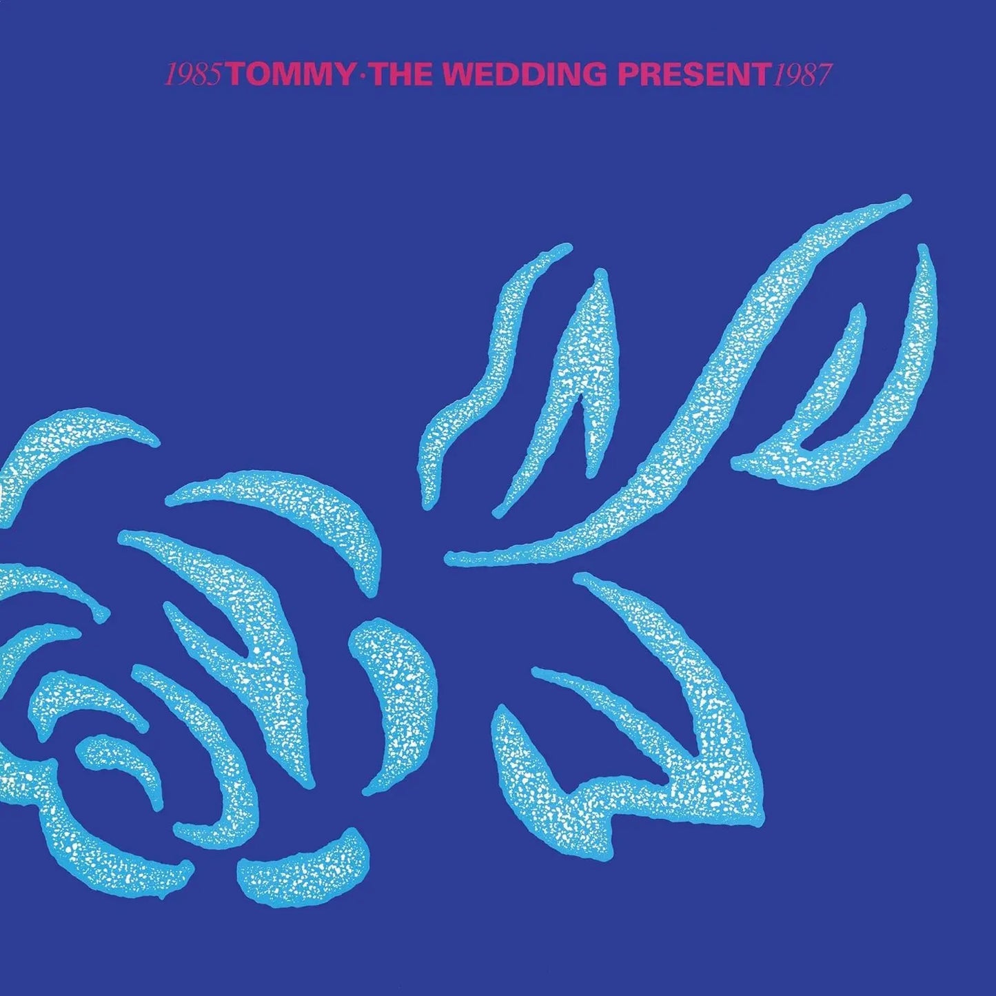 Wedding Present Tommy