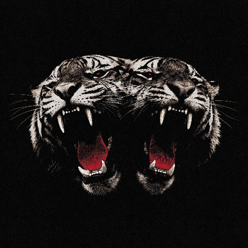 Royal Blood - Dead Company