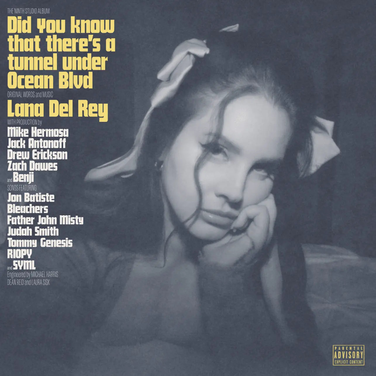 Lana Del Rey Did You Know That There's A Tunnel... Records & LPs