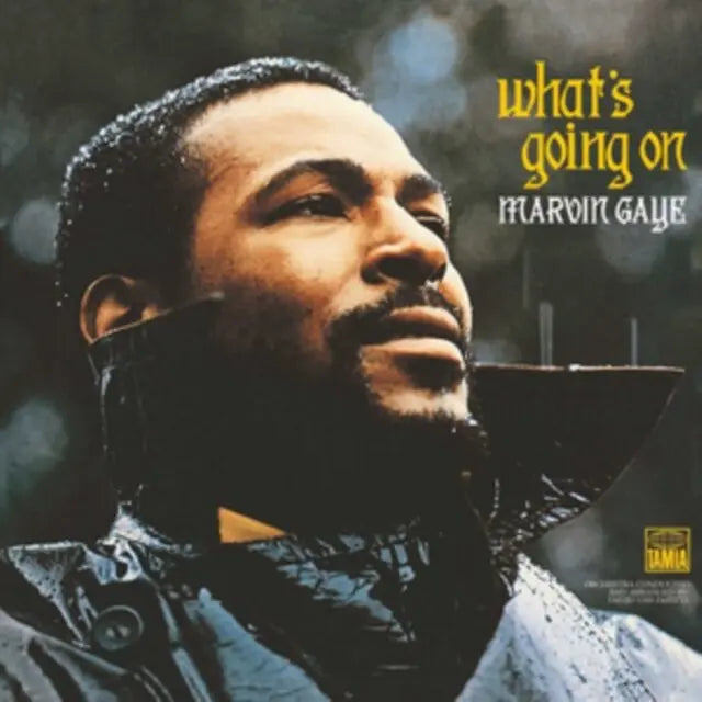 Marvin Gaye What's Going On VinylN