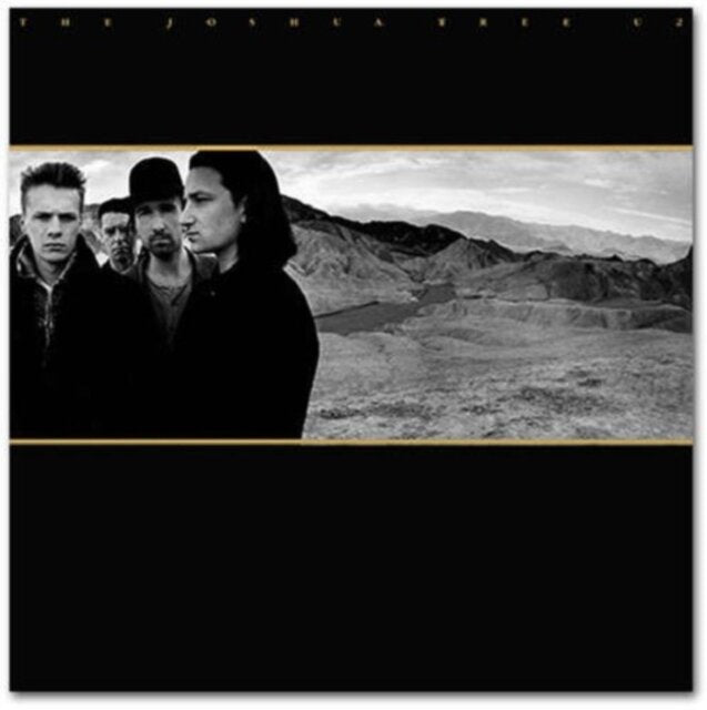 U2 The Joshua Tree VinylN