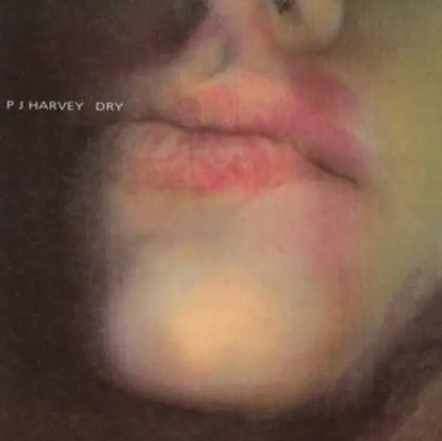 PJ Harvey Dry