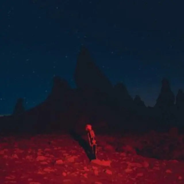 Phoebe Bridgers Punisher