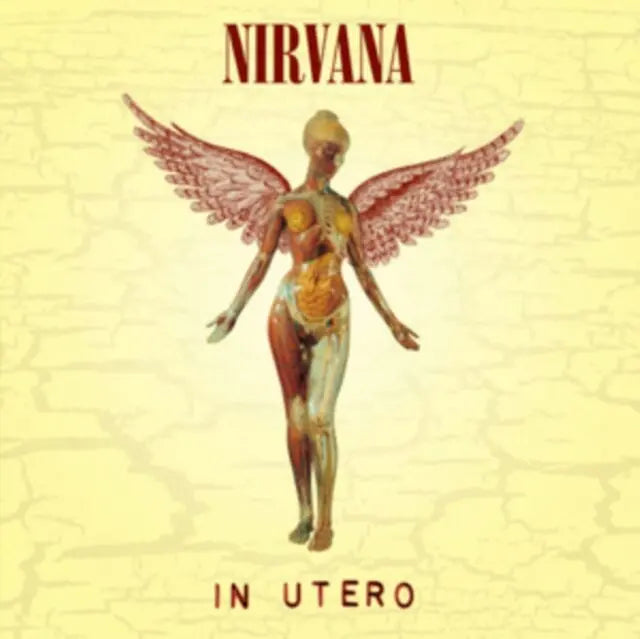 Nirvana In Utero VinylN