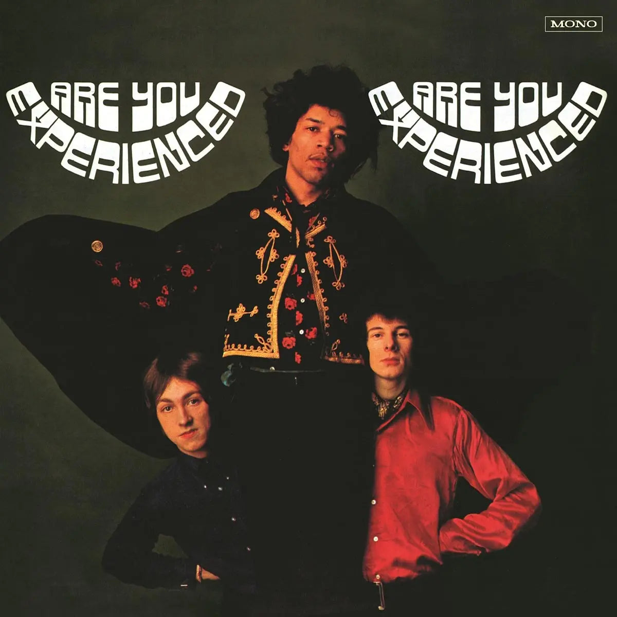 Jimi Hendrix Are You Experienced VinylN