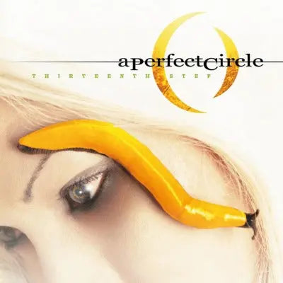 Perfect Circle Thirteenth Step