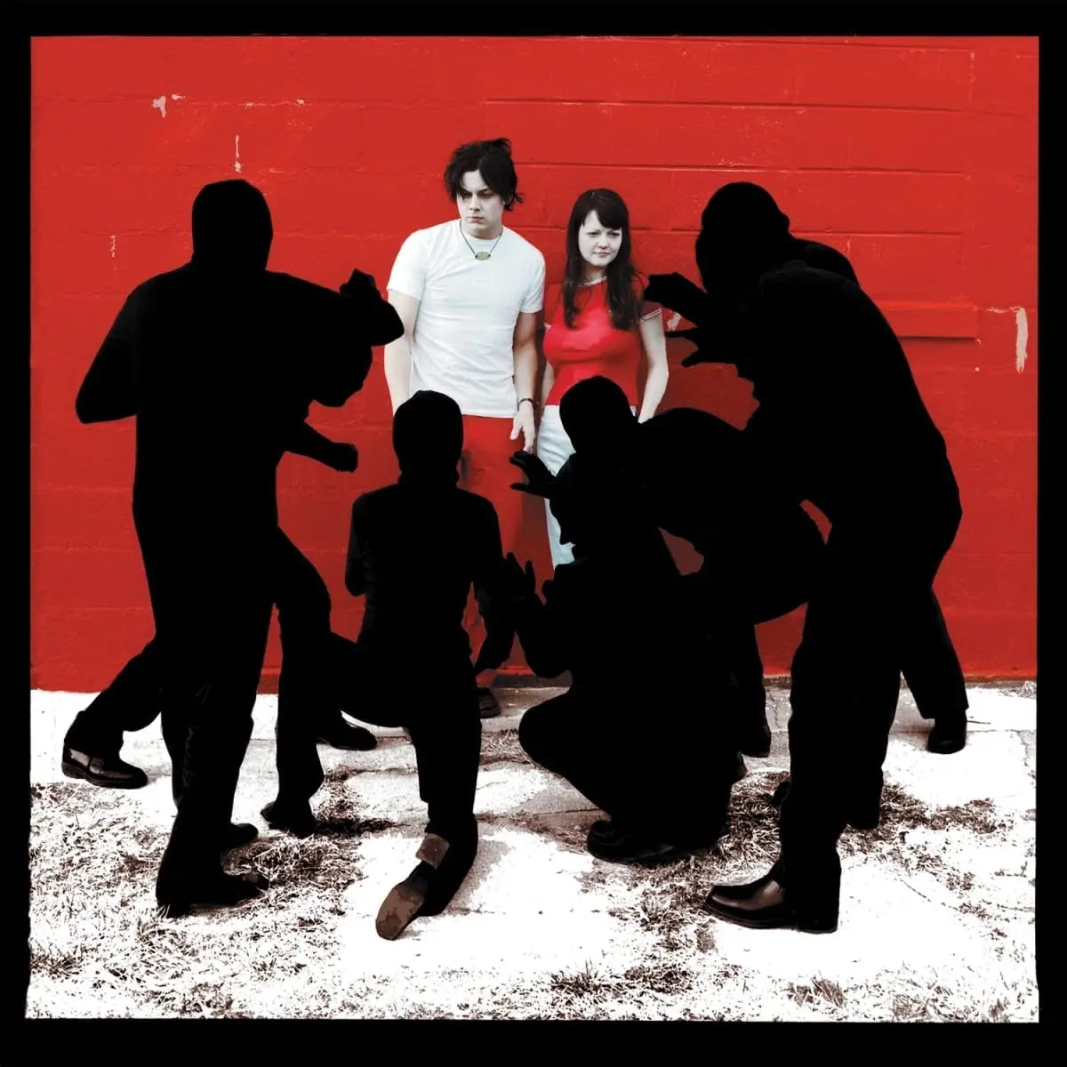 White Stripes White Blood Cells