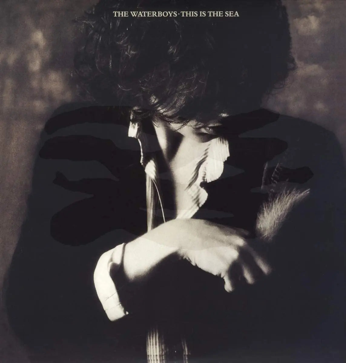 Waterboys This Is The Sea