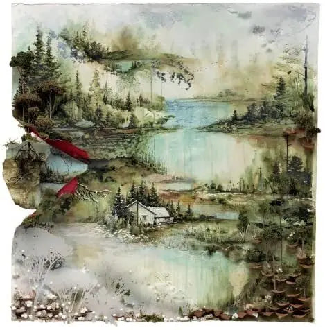 Bon Iver Bon Iver VinylN