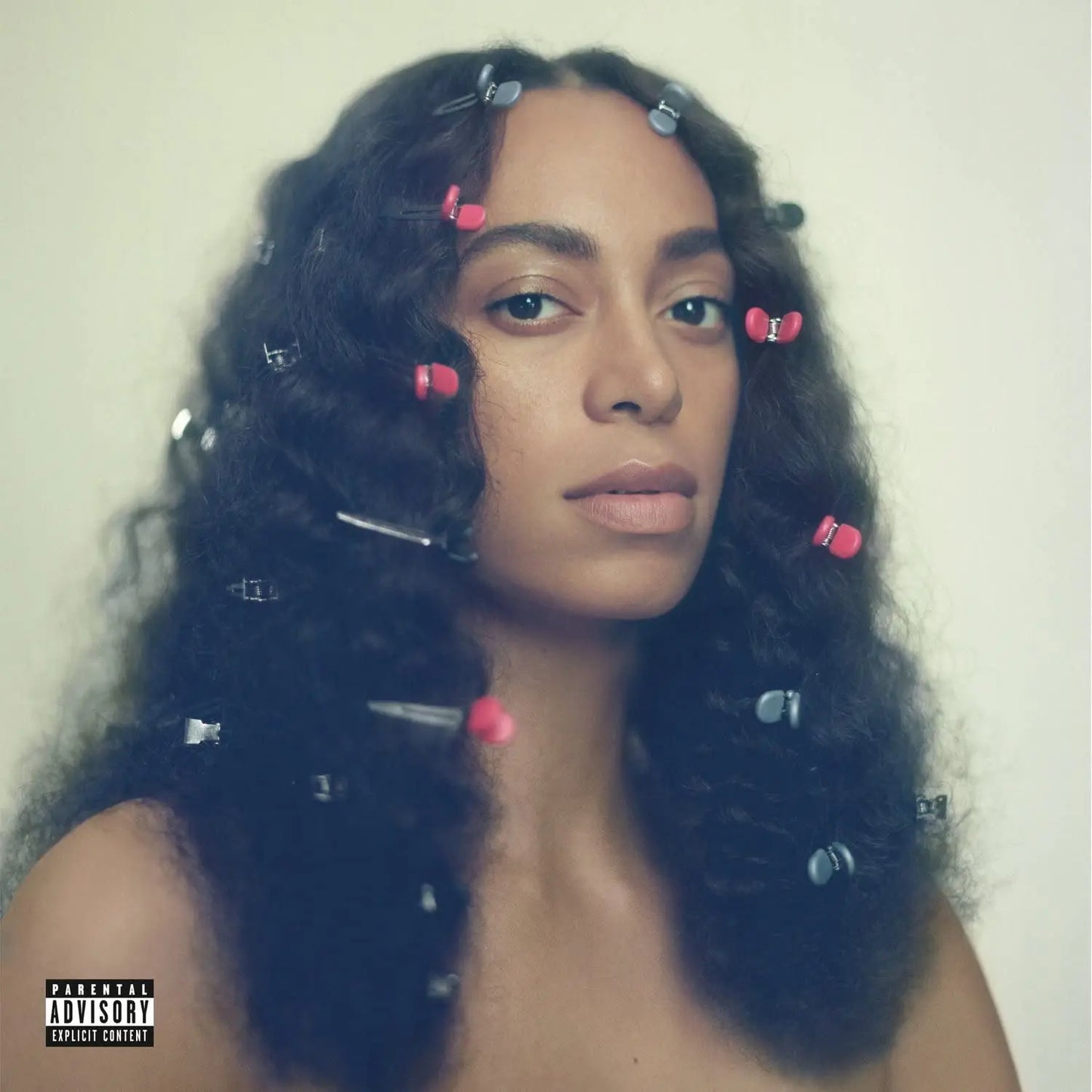 Solange A Seat At The Table