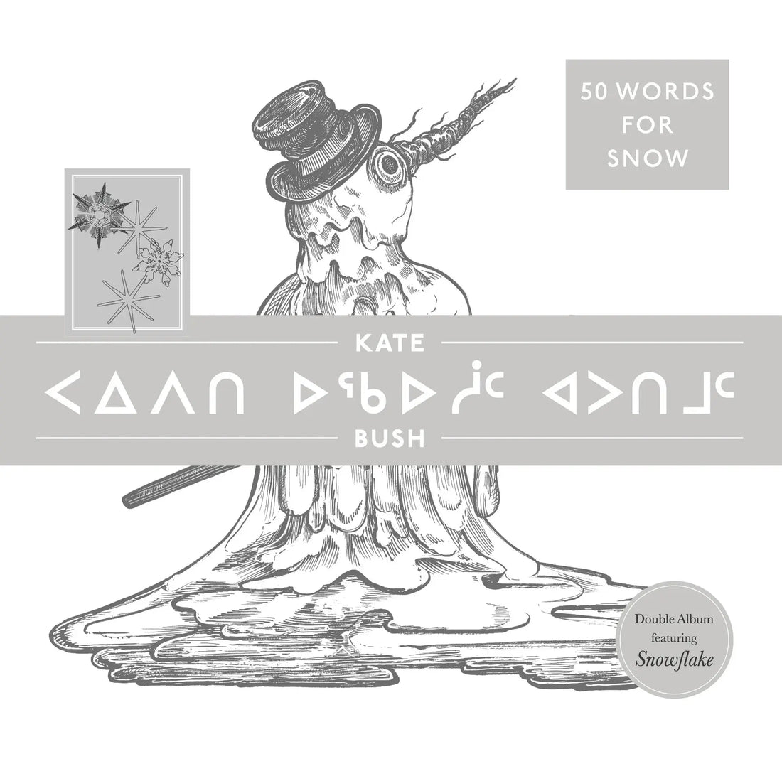 Just Arrived: Kate Bush 50 Words for Snow (Polar Edition) Ireland Vinyl