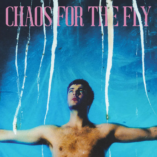 Grian Chatten's Debut Solo Album "Chaos For The Fly" – A Journey into the Heart of Irish Music Ireland Vinyl