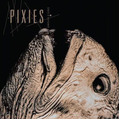 Pixies "Complete B-Sides: 1988-97"