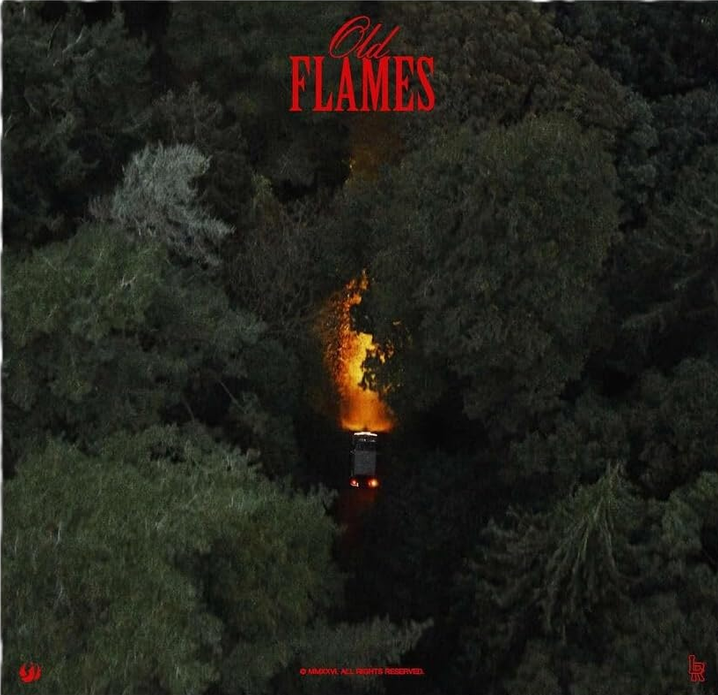 La Roux Old Flames (Limited Lp)