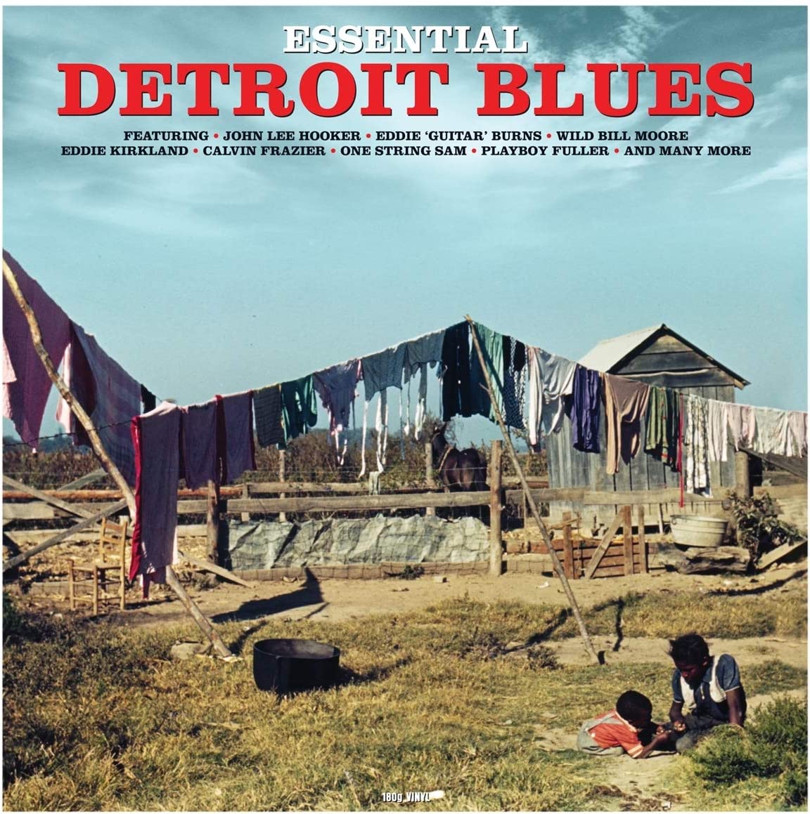Various Essential Detroit Blues - Ireland Vinyl