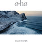 a-ha True North - Ireland Vinyl