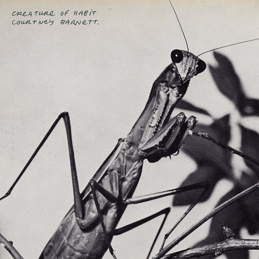 Courtney Barnett Creature of Habit (Clear LP)