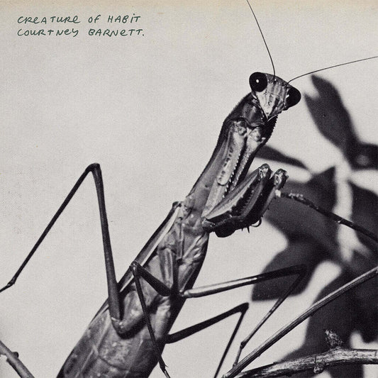 Courtney Barnett Creature of Habit (Clear LP)