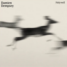 Damien Dempsey - Holywell