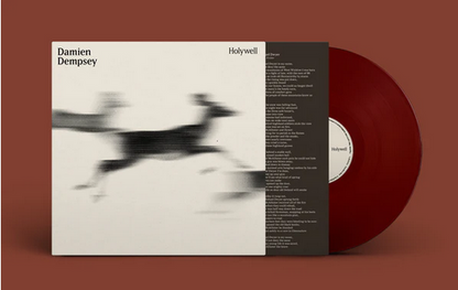 Damien Dempsey - Holywell
