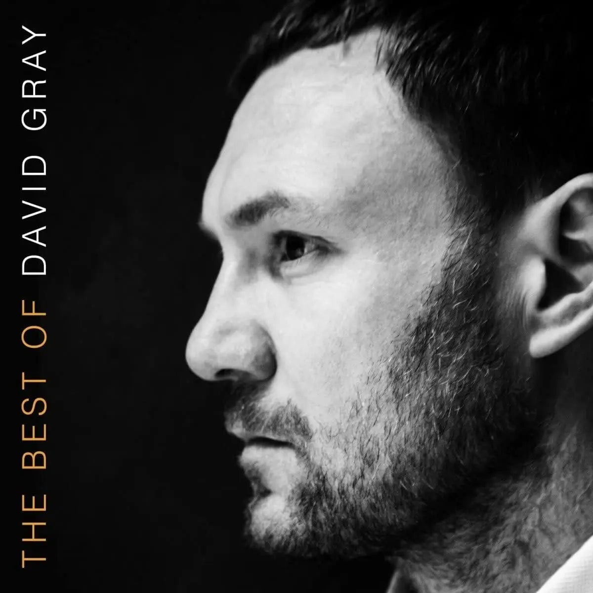 David Gray Best Of