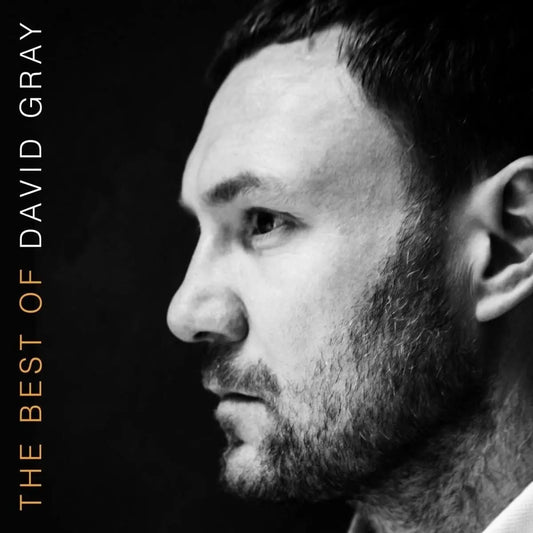 David Gray Best Of