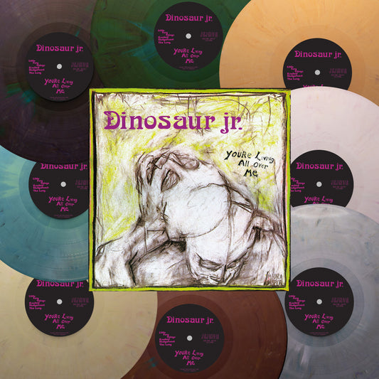 Dinosaur Jr. You're Living All Over Me (ReVINYL)