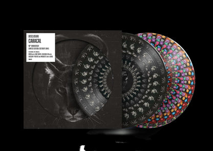 Disclosure Caracal 10th Anniversary (Zoetrope)