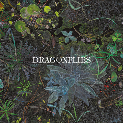 Dragonflies The Dragonflies