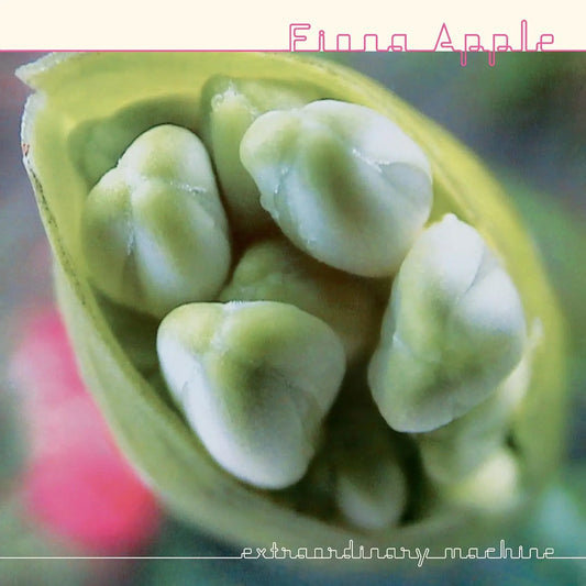 Fiona Apple Extraordinary Machine