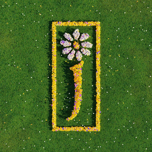 James Nothing But Love - The Definitive Best Of