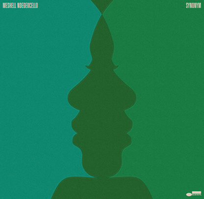 Meshell Ndegeocello Synonym