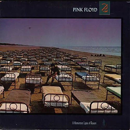 Pink Floyd Momentary Lapse Of Reason