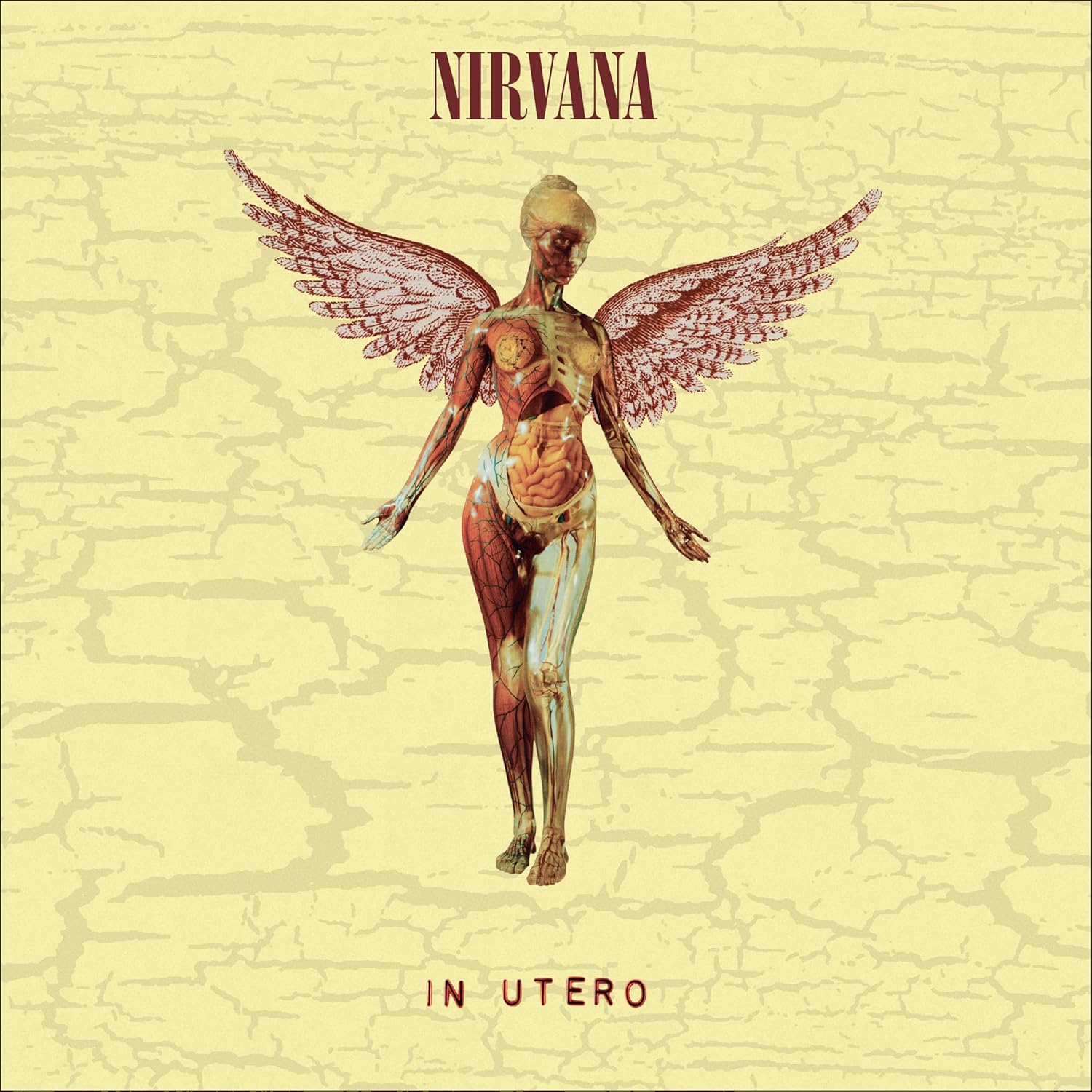 Nirvana In Utero Vinyl Boxset