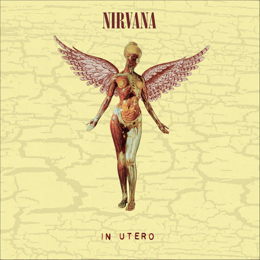 Nirvana In Utero Vinyl Boxset