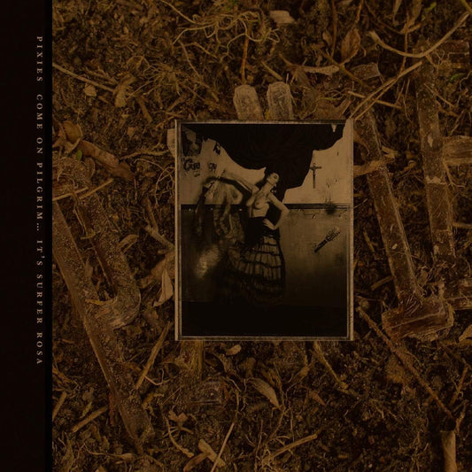 Pixies Come On Pilgrim... It's Surfer Rosa