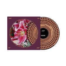 Richard Hawley Coles Corner (Zoetrope) Ireland Vinyl