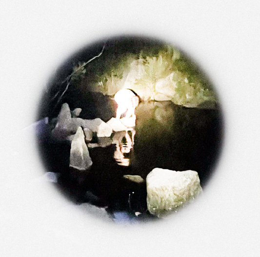 Rory Sweeney Old Earth