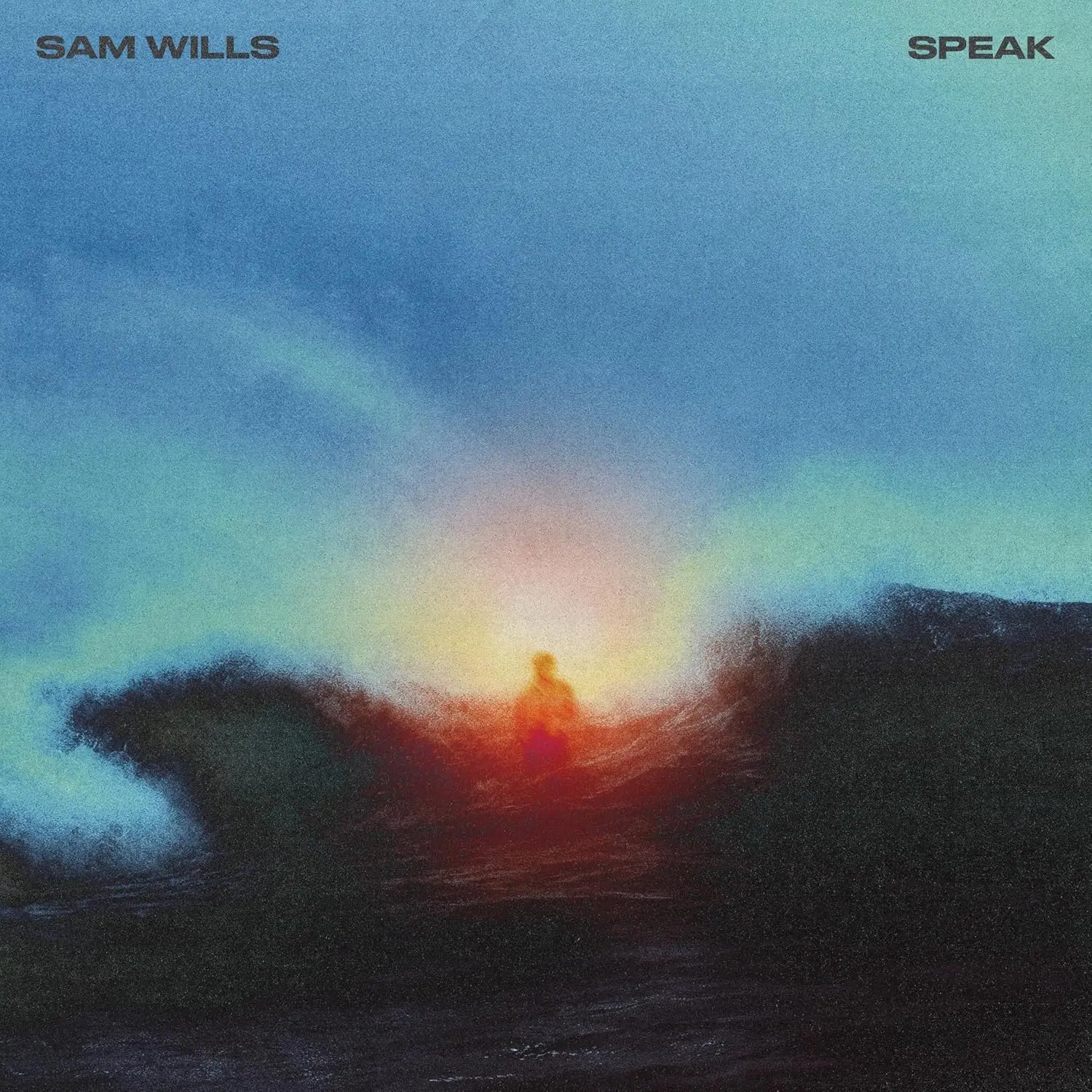 Sam Wills Speak