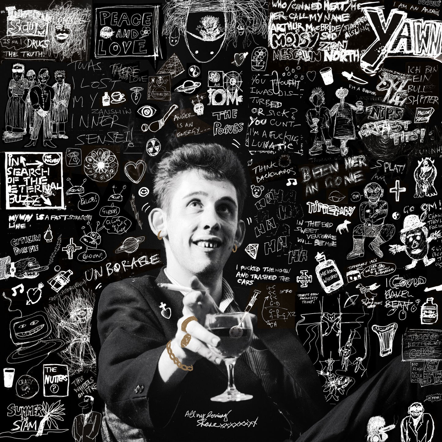 Shane MacGowan - 20th Century Paddy - The Songs of