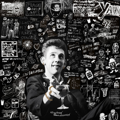 Shane MacGowan - 20th Century Paddy - The Songs of