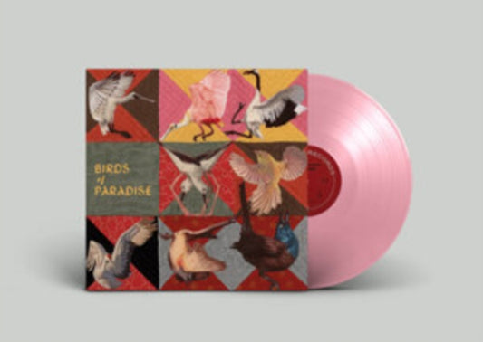 Thomas Dollbaum Birds Of Paradise LP