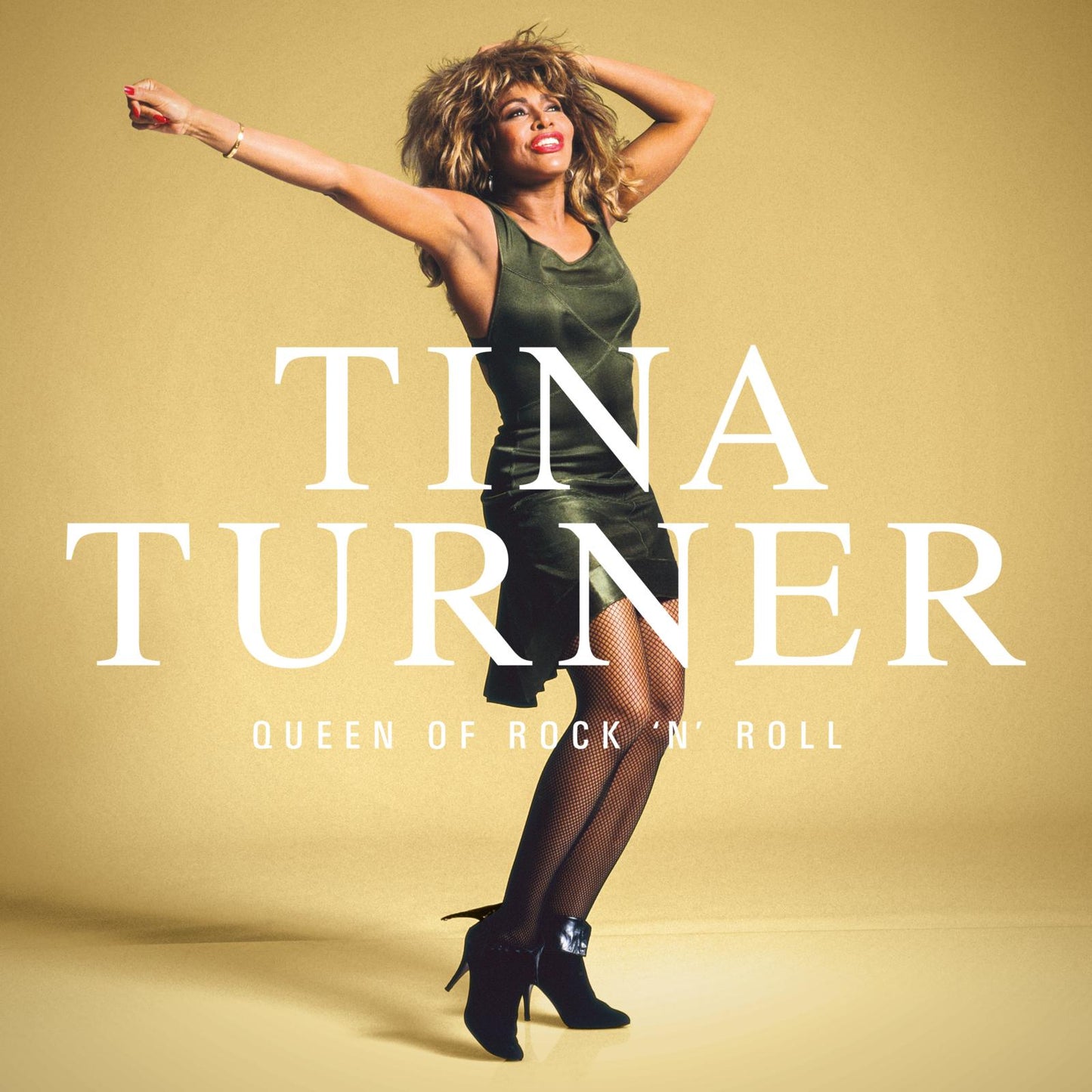 Tina Turner The Queen of Rock and Roll