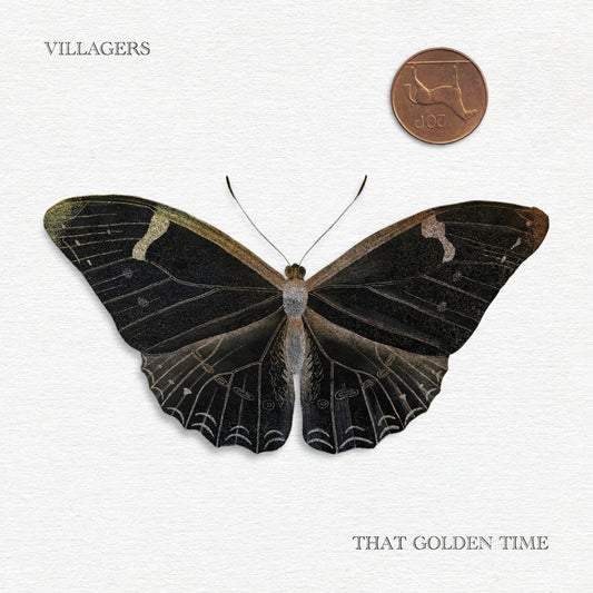 Villagers That Golden Time - Ireland Vinyl