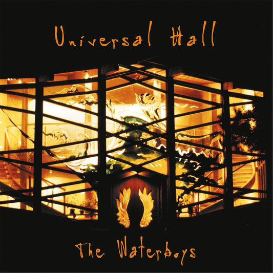 Waterboys Universal Hall - Ireland Vinyl
